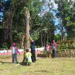 PERCANTIK KOMPLEK RUMAH DINAS BUPATI SANGGAU DINAS LINGKUNGAN HIDUP TANAM ANGGREK – Dinas Lingkungan Hidup