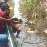 Sungaiku Bersih, Airku Jernih – Dinas Lingkungan Hidup