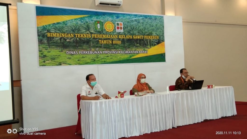 Dinas Perkebunan Provinsi Kalbar Adakan Bimbingan Teknis Peremajaan Kelapa Sawit Pekebun di Kabupaten Sanggau