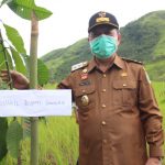 Tanam Pohon di Dusun Telogah, Wabup Sanggau: Mudah-Mudahan Kedepan Tempat Ini Menjadi Destinasi Wisata Buah-Buahan