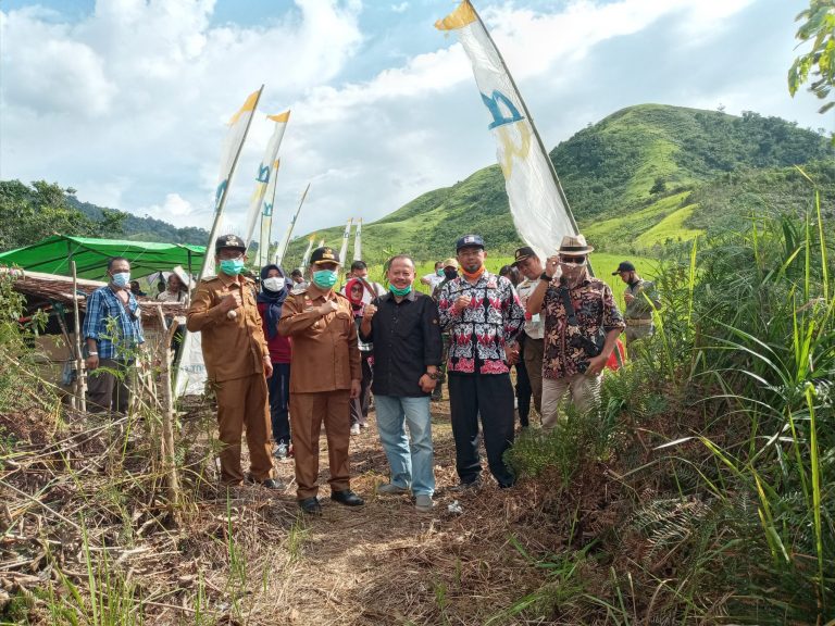 Penghijauan Hutan Kembali Di Desa Idas Kecamatan Noyan