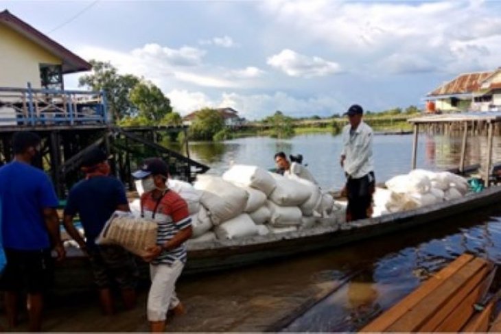 PT Pertani pasok benih padi unggul ke perbatasan Indonesia - Malaysia