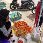 Rp 110 Ribu Sekilo Harga Cabai Rawit di Sanggau