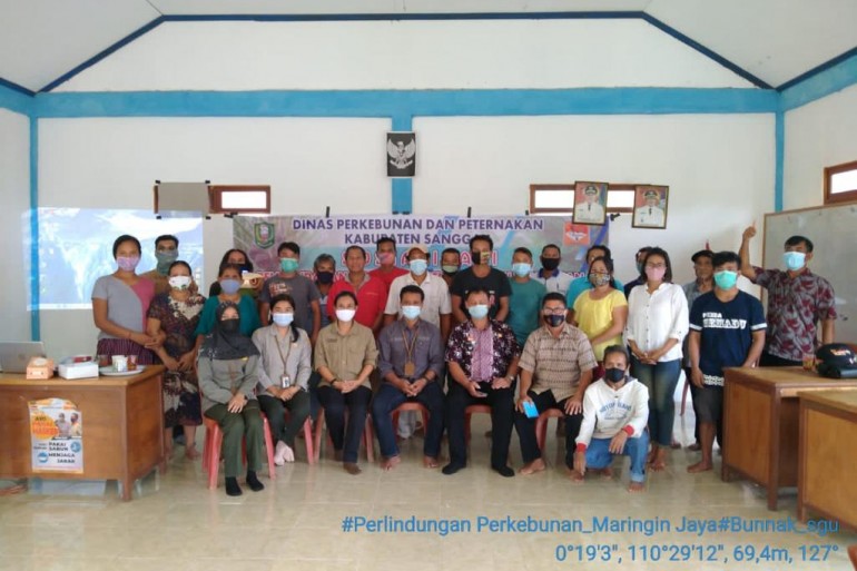 Sosialisasi Pengendalian Organisme Pengganggu Tumbuhan (OPT) Tanaman Kelapa Sawit di Dusun Semadu Desa Maringin Jaya Kecamatan Parindu