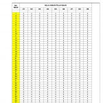 LAPORAN SURVEI KEPUASAN MASYARAKAT (SKM) Semester Pertama Tahun 2020 – DPMPTSP