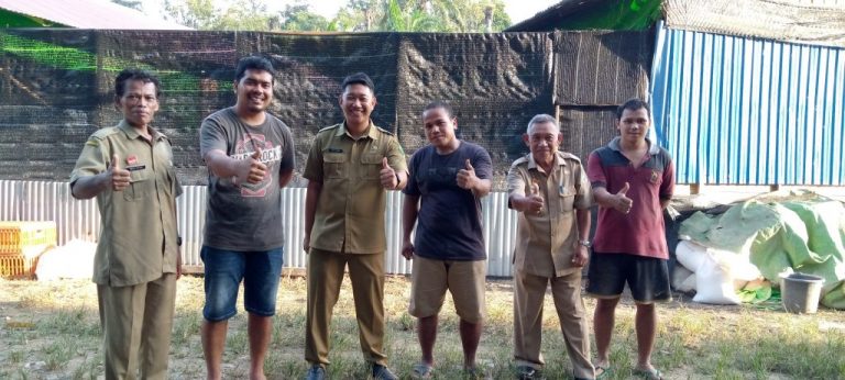 Disbunnak Melakukan Kunjungan dan Pembinaan Kepada Peternak Ayam Joper Pertama di Kabupaten Sanggau