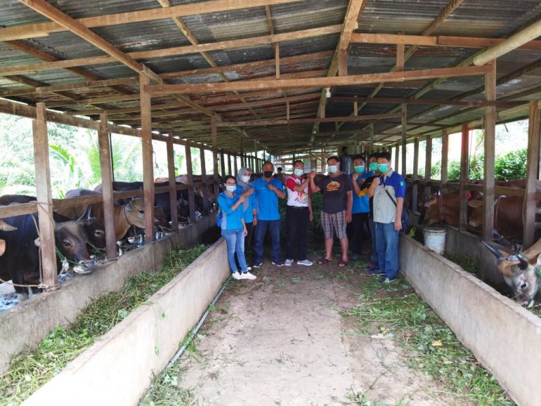 DISBUNNAK Layani Pemeriksaan Layak Kurban Untuk Ternak Di Kecamatan Kapuas