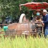 Wabup Sanggau Lakukan Panen Padi Perdana Varietas Inpari 37 Di Desa Tunggal Bhakti