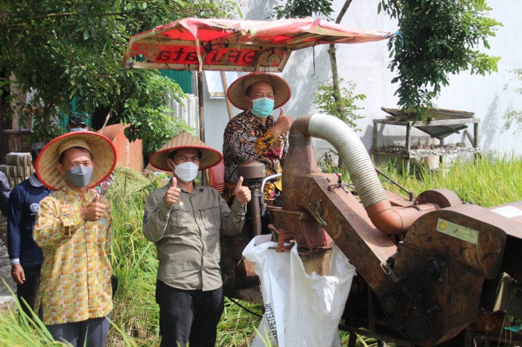 Wabup Sanggau Lakukan Panen Padi Perdana Varietas Inpari 37 di Desa Tunggal Bhakti