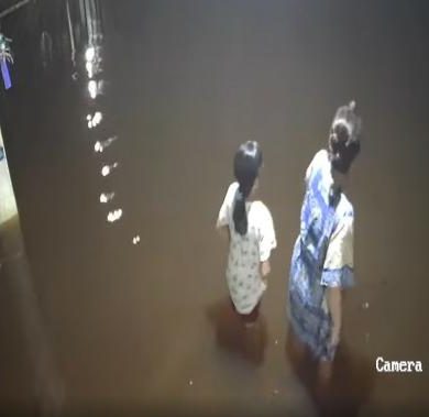 Buaya Muncul di Lokasi Banjir di Sanggau, Benarkah?