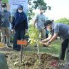 Jaga lingkungan untuk ruang hijau, komitmen Pemkab Sambas
