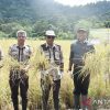 Inilah 10 proyek strategis daerah Kabupaten Ketapang