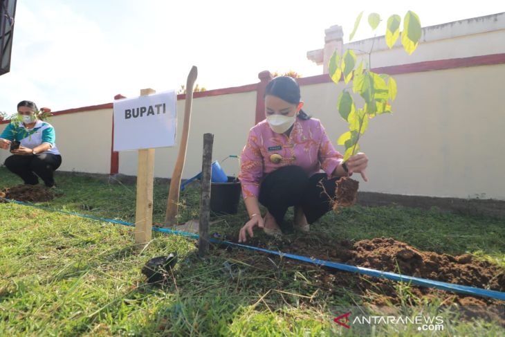 Pemkab Landak gencarkan penanaman pohon peringati HUT ke-65 Kalbar