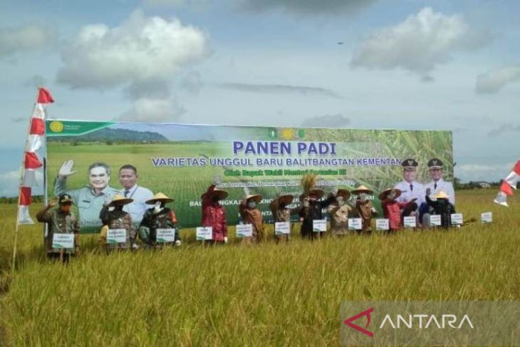 Bupati Sambas ancam cabut izin toko ritel jika tidak jual beras petani lokal