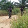 Satgas TNI sisir wilayah perbatasan Kalbar tekan kegiatan ilegal
