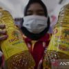 Bupati khawatir ada penimbun sehingga minyak goreng langka di Kapuas Hulu