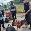 Polda Kalbar gunakan anjing pelacak untuk patroli di perbatasan