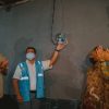 PLN nyalakan listrik dua desa di Ketapang, kucurkan investasi Rp4,2 Miliar