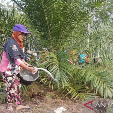 Kabupaten Sintang lakukan Revisi RTRWK 2016-2036