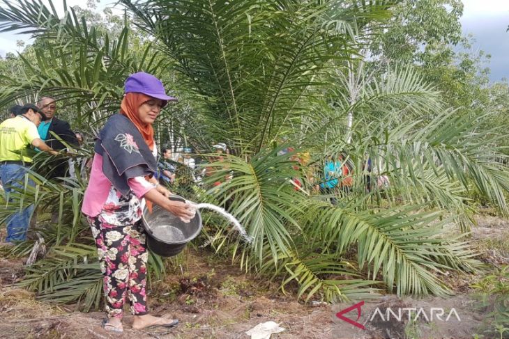 Kabupaten Sintang lakukan Revisi RTRWK 2016-2036