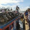 Ratusan calon penumpang KM dari Teluk Batang-Pontianak gagal berangkat