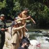 Bupati Kapuas Hulu resmikan wisata arung jeram Gurung Kepala Bauk