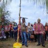 DAD Sungai Laur keluarkan aturan sanksi pencurian buah sawit - perkelahian