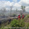 Lahan di Singkawang terbakar seluas 3,5 hektar