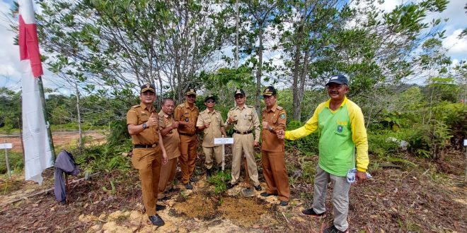 Tanam 5000 Bibit Pohon, Cara Pemkab Sanggau Atas Krisis Iklim – Kalimantan Today