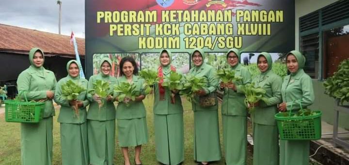 Ketua Persit KCK Koorcab Rem 121 PD XII/TPR Pimpin Panen Sayur Hidroponik di Makodim Sanggau