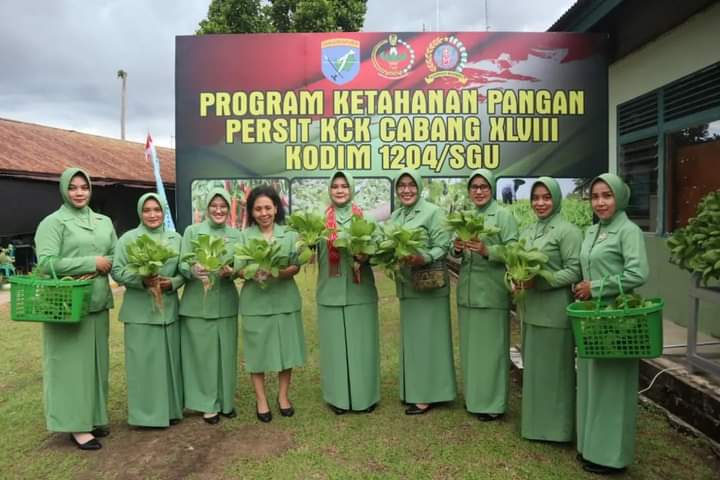 Ketua Persit KCK Koorcab Rem 121 PD XII/TPR Pimpin Panen Sayur Hidroponik di Makodim Sanggau