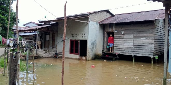 231 KK Terdampak Banjir di Tayan Hulu, Satu di Antaranya Mengungsi – Kalimantan Today