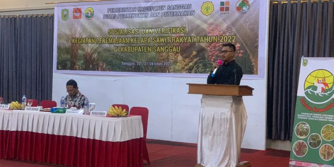 Kasi Pidsus Kejari Sanggau Ungkap Dua Syarat Replanting Sawit – Kalimantan Today