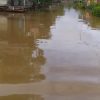 Bajir di Sanggau Meluas ke Enam Kecamatan, Ini Rinciannya – Kalimantan Today