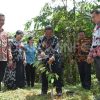 Launching PH ARITA, Paolus Hadi : Supaya Berjalan Sesuai Target, Tolong Di Monitor Terus