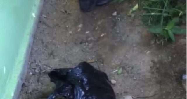 Gempar...!! Penemuan Bayi Dalam Kantong Kresek di MIS Fadhillah Kembayan, Polisi Kejar si Pembuang
