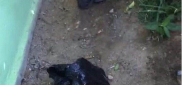 Bayi laki-laki berbungkus kantong kresek gemparkan warga Kembayan Sanggau
