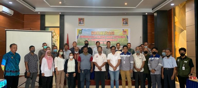 Sosialisasi Peremajaan Kelapa Sawit Pekebun di Kabupaten Sanggau Tahun 2022