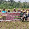 DKPTPHP Kabupaten Sanggau Ajarkan Petani di Desa Menyabo Racik Pestisida Nabati – DKPTPHP