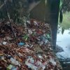 Ayo Jangan Buang Sampah Ke Sungai – Dinas Lingkungan Hidup