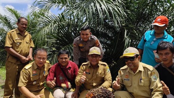 Pj Bupati Sanggau Hadiri Panen Perdana PSR – Kalimantan Today