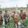 Hadiri Gerakan Tanam Padi dan Jangung Hibrida, Ini Pesan Pj. Bupati Sanggau