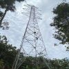 Pembangunan SUTT 150 kV Sandai – Tayan Capai Lebih dari 50 Persen