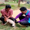Disbunnak Sanggau Kembali Vaksinasi Hewan Penular Rabies