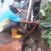 Drainase Air Sumbat, Bidang Pertamanan DLH Lakukan Pembersihan – Dinas Lingkungan Hidup