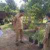 Dukung Penghijauan Sekolah, DLH berikan bantuan Bibit Tanaman ke SMPN 10 Sanggau – Dinas Lingkungan Hidup