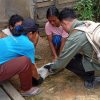 Hingga April, 318 Kasus GHPR, Ini yang Dilakukan Disbunak Sanggau