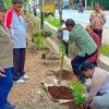 PERINGATI HARI LINGKUNGAN HIDUP DAN PERCANTIK KOTA, DINAS LH LAKUKAN PENANAMAN POHON – Dinas Lingkungan Hidup