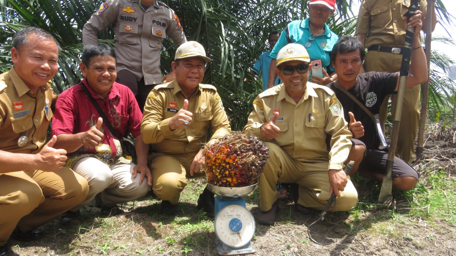 Pj Bupati Sanggau Hadiri Panen Perdana Peremajaan Kelapa Sawit Rakyat di Kecamatan Parindu – DISBUNNAK