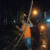Pohon Tumbang DLH Sanggau Lakukan Pemotongan, Pembersihan dan Pengangkutan – Dinas Lingkungan Hidup